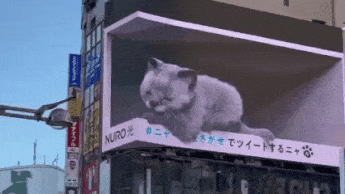 일본 도쿄의 3D 전광판 광고