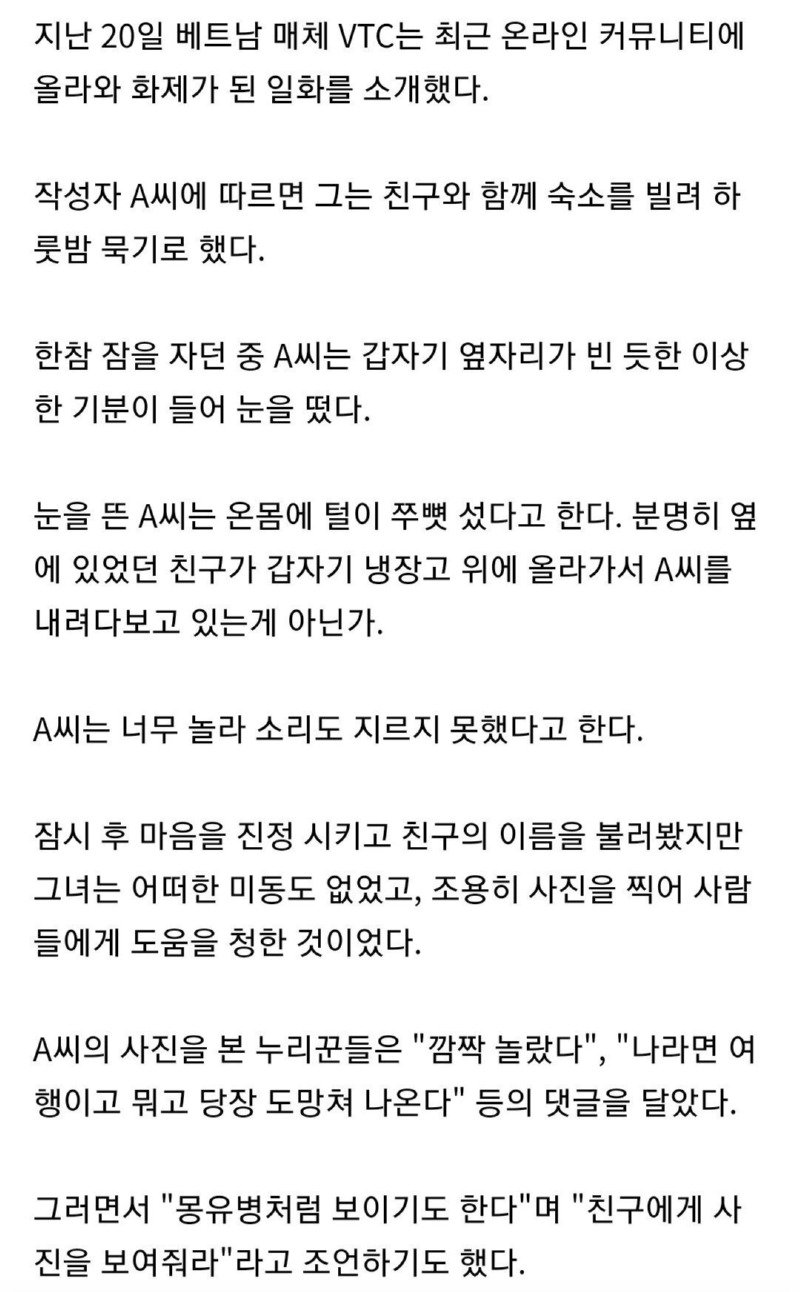 한밤중 냉장고 위에서 날 내려다 보는 친구