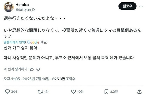 투표하기 싫은 이유