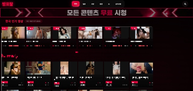 밤포탈