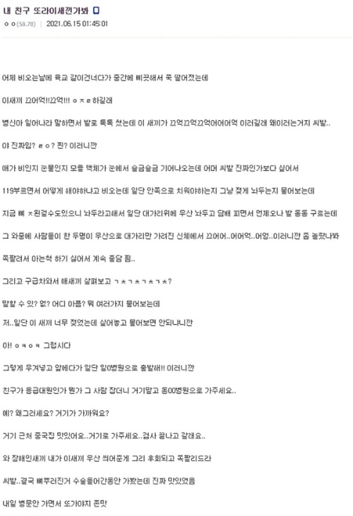 떠라이 내친구