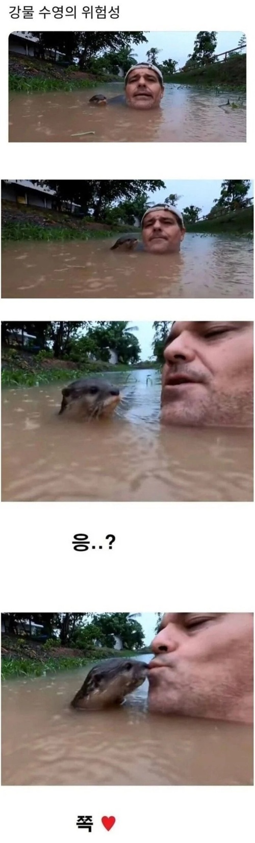 맹수습격의 위험성