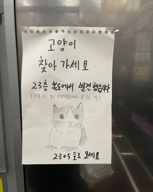 흔한 공지들